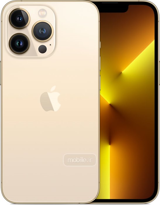 13pro